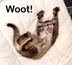 woot_copy_answer_1_xlarge