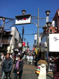 Field Trip - Week 1 012